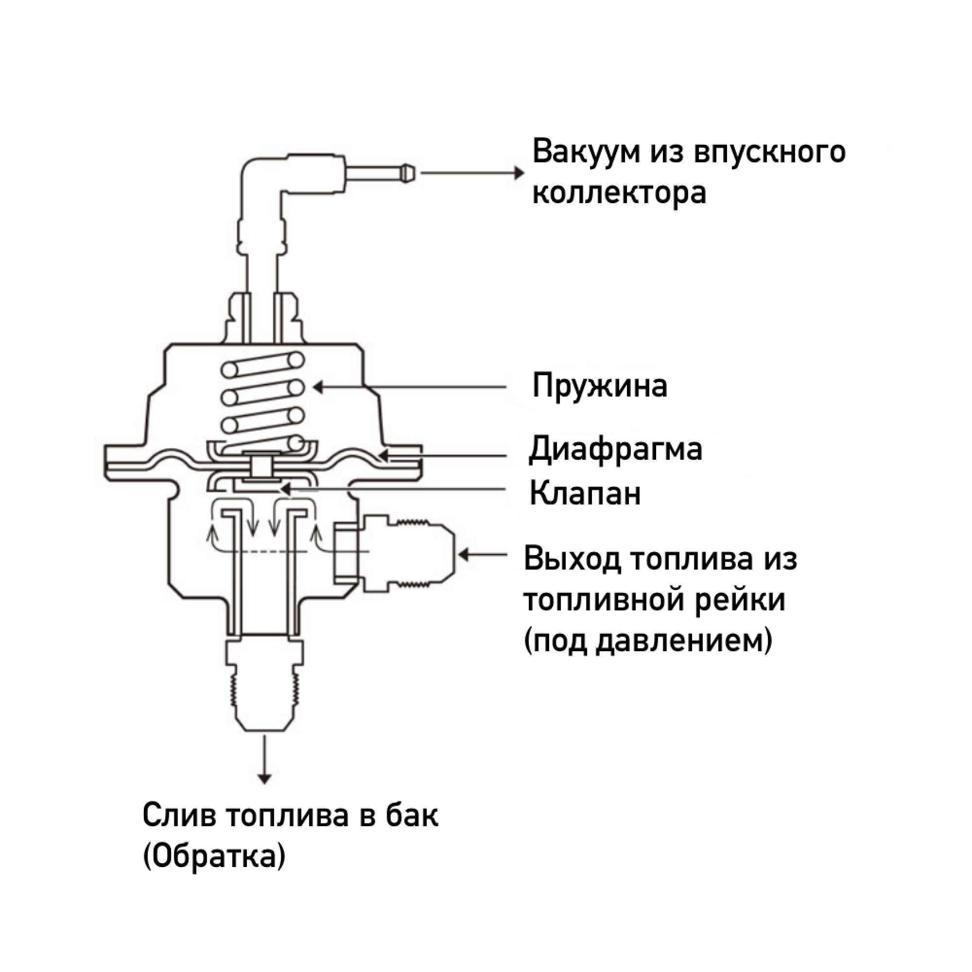 Подключение регулятора давления топлива. Схема установки регулятора давления топлива. Выносной регулятор давления топлива с обраткой. Регулятор топлива Томей. Регулятор давления топлива Томей.